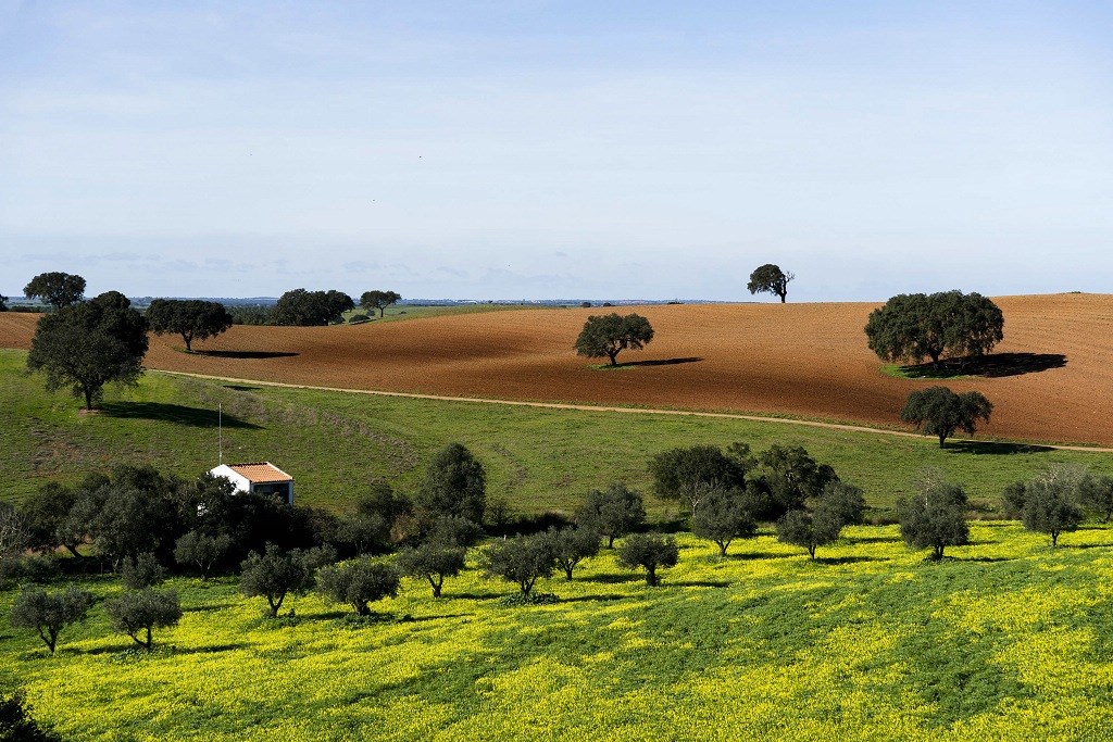Além e Riba Tejo